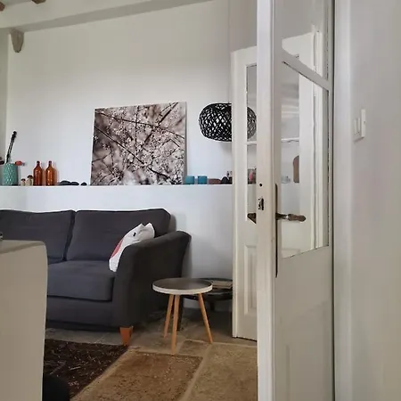 Apartment Casa Pino Pina Motovun